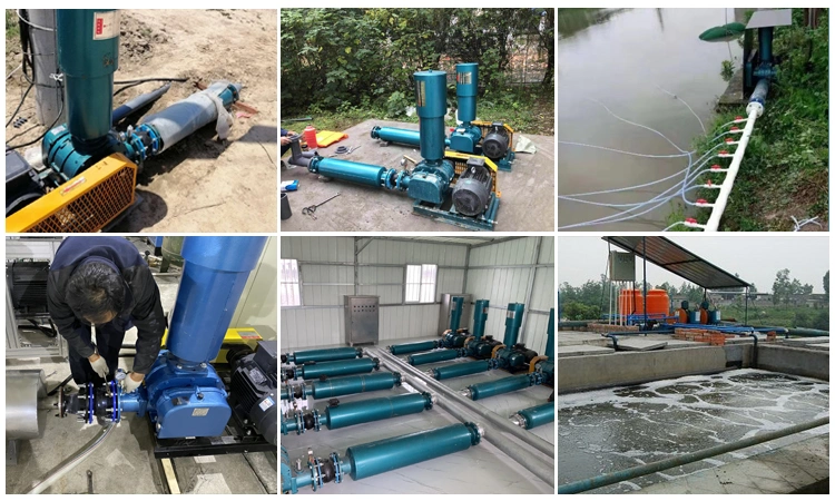 Air Roots Blower Vacuum Pump for Sewage Treatment